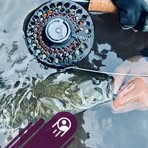 Profile Picture of Edward Egg Man (@Edward-Egg-Man) on Facebook