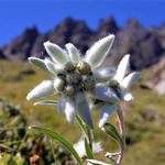 Marc Vidal - Instagram Profile Picture of Marc Vidal (@marcvidal15a) on Instagram