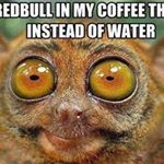 Profile Picture of Jeff Barclay (@jfsbarclay) on Instagram