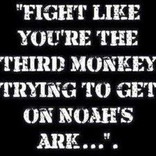 Profile Picture of Lori Ling (@linger14) on Twitter