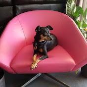 Profile Picture of Zachary Horton (@zacharyhorton3006) on Youtube