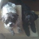 Profile Picture of Carol Farron (@carolfarron) on Instagram