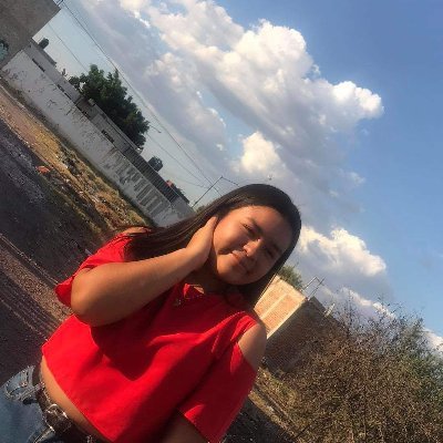 Profile Picture of Lu Almanza (@pa_marilu10) on Twitter