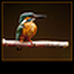 Profile Picture of Michael Finn (@Michael Finn Photography) on Flickr