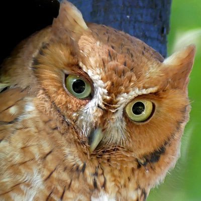 Profile Picture of Mark C. Lear (@MarkCLear14) on Twitter
