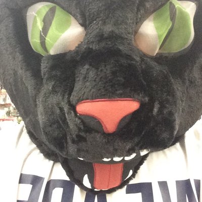 Profile Picture of Matt Moyer (@mmoyer95) on Twitter