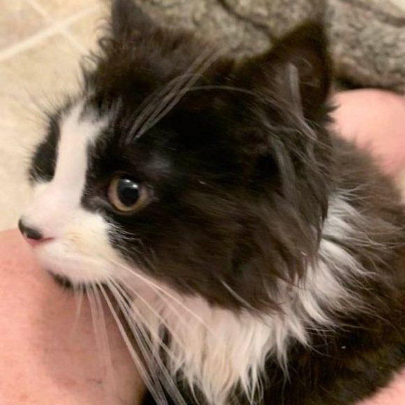 Profile Picture of Chris Cress (@cmcjnc_cress) on Poshmark