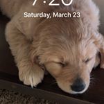 Profile Picture of Sup Guys (@adam_wimmer__hi) on Instagram