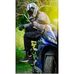 Profile Picture of Steve Munna (@steve.munna.3) on Facebook