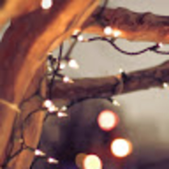 Emily Glebov - Poshmark Profile Picture of Emily Glebov (@emily_glebov) on Poshmark