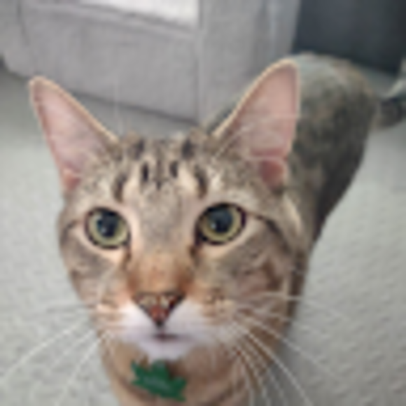 Profile Picture of R Donovan (@robertdonovan32) on Poshmark