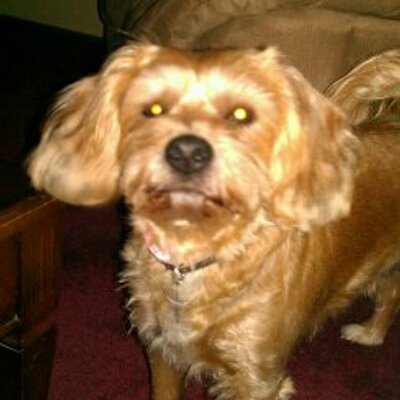 Profile Picture of Mary Sakers McDevitt (@marymcdevitt326) on Twitter