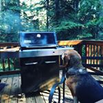 Profile Picture of Kevin Trexler (@ktrex5) on Instagram