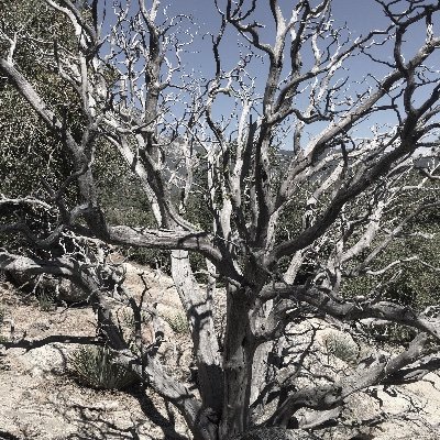 Rob J - Twitter Profile Picture of Rob J (@RobJacobs_) on Twitter