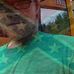 Profile Picture of Marc Rood (@marc.rood.7) on Facebook