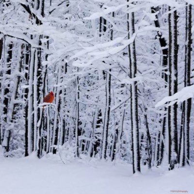 Profile Picture of Paula Bauer (@bauer_pbauer) on Twitter