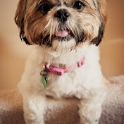 Profile Picture of Kinga Wojcik (@kingawojcik7740) on Youtube