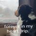 Profile Picture of Tracey Tozer (@tracey.tozer.1) on Facebook