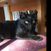 Profile Picture of Connor Kevin Gibney (@@concat1234) on Tiktok