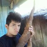 Club de Fans de VicenteJakare - Instagram Profile Picture of Club de Fans de VicenteJakare (@vicentejakarefans) on Instagram