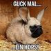 Profile Picture of Hans Kramer (@hans.kramer.9041) on Facebook