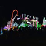 Profile Picture of Felix Chen (@totallynotfelixchen) on Instagram