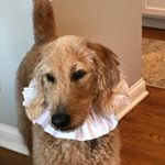 Profile Picture of Colin Hart (@cohart3) on Instagram