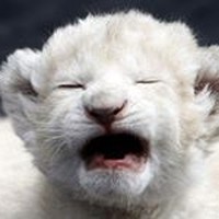 Profile Picture of Philip Wu (@philip-wu-24) on Quora