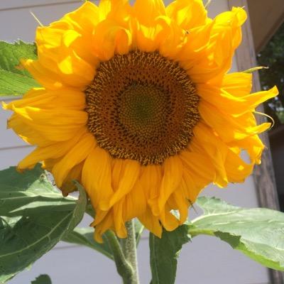 Profile Picture of Brenda L Roberts (@brendaroberts_l) on Twitter