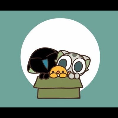 Profile Picture of Cindy Tong (@cindytong1216) on Twitter