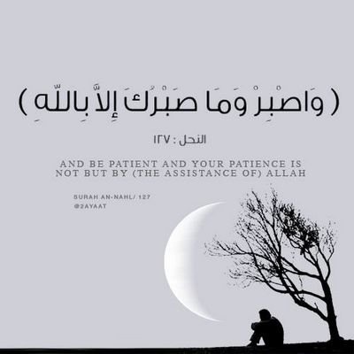 Profile Picture of Lola Ahmed (@lolaahmed703) on Twitter