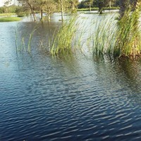 Profile Picture of Marcus Welch (@marcus-welch-18) on Quora