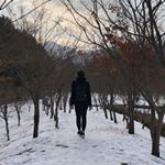 Profile Picture of Steven Tsang (@steven_tckkk) on Instagram