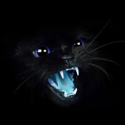 Profile Picture of Rodney De Mesa (@MesaRodney) on Twitter