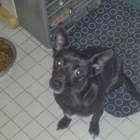 Profile Picture of Jeffrey Tejada (@jeffrey-tejada-1) on Quora