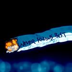 Sebastian Ferrer - Instagram Profile Picture of Sebastian Ferrer (@guap_kid_) on Instagram