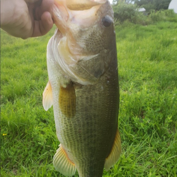 Profile Picture of Tyler Lower (@tylerlower) on Poshmark