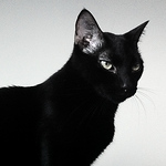 Profile Picture of Juan Sebastián Velásquez Barrera (@pixeldiablo) on Flickr