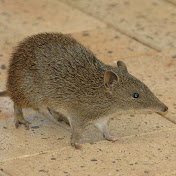 Profile Picture of Craig Walters (@CraigWalters-fv2uk) on Youtube