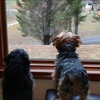 Profile Picture of Josh N Leann Huffman (@josh-n-leann-huffman) on Quora