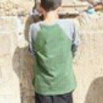 Profile Picture of Tracey Reiss Frank (@traceyreiss) on Instagram