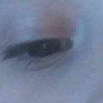 Profile Picture of alex scarborough (@alexscarborough) on Instagram