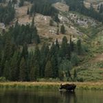 Profile Picture of @VenturesbySky (@skyler.holt.18) on Instagram