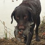 Profile Picture of Bubba Payne (@payne_bubba) on Instagram