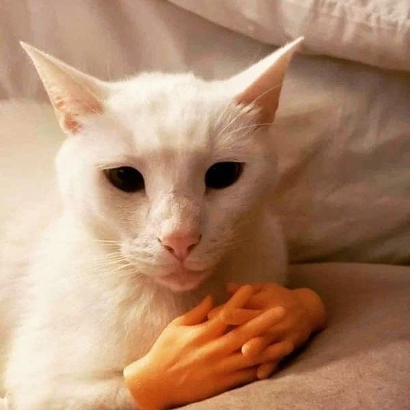 Profile Picture of Katie Kinker (@katiekat102803) on Poshmark