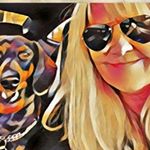 Profile Picture of Donna Currey Hogue (@dchogue) on Instagram