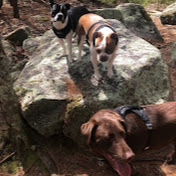 Profile Picture of Joshua Tavares (@tavares2384) on Youtube