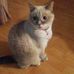 Profile Picture of Janet Botkin (@janet.botkin.56) on Facebook