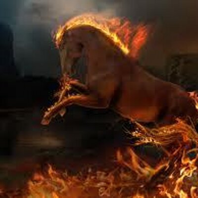 Profile Picture of Mohammad Faruq (@mohammadfaruq3) on Twitter