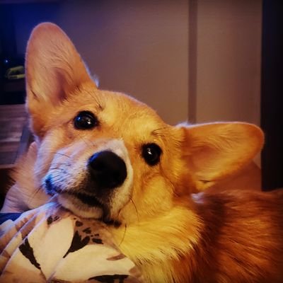 Profile Picture of Jessica Widder (@WidderJessica) on Twitter